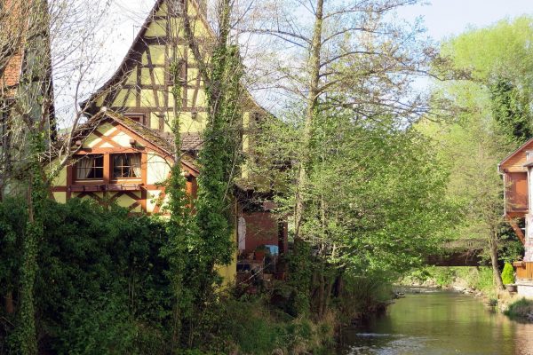 Alsace Sélestat Maison